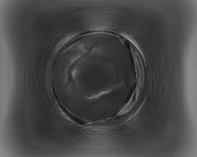 X0000086300577200704131611