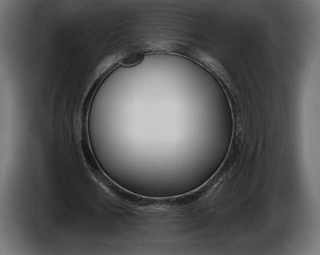 X0000086300578200704131611