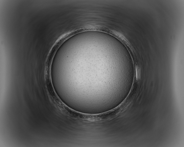 X0000086300579200704131611