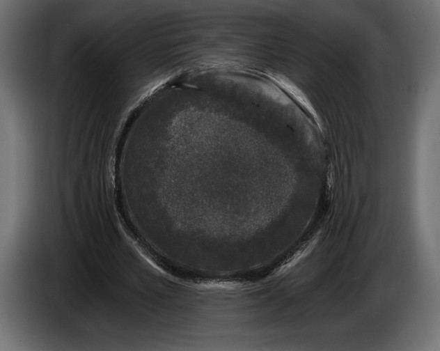 X0000086300581200704131611