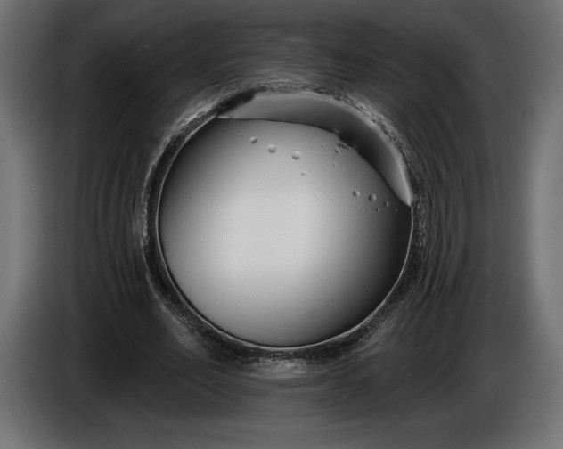 X0000086300582200704131611