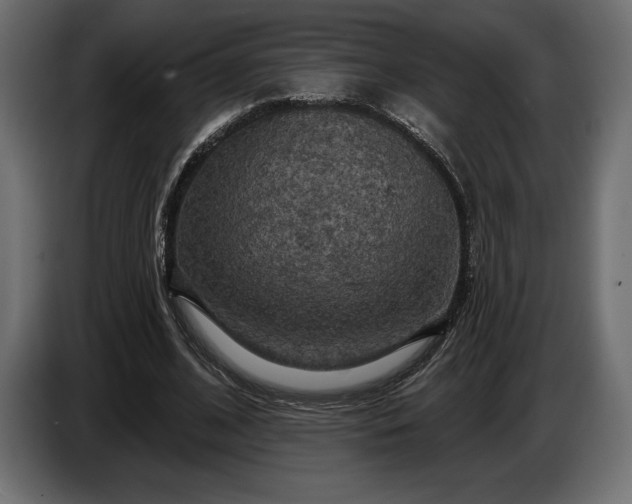 X0000086300584200704131611