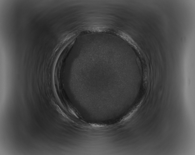 X0000086300585200704131611