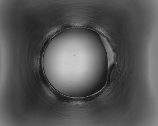 X0000086300586200704131611