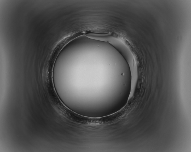 X0000086300587200704131611