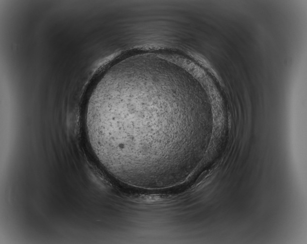 X0000086300588200704131611