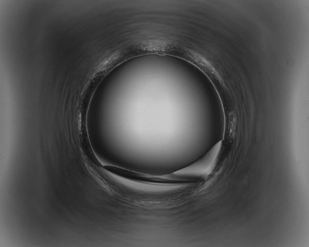 X0000086300589200704131611