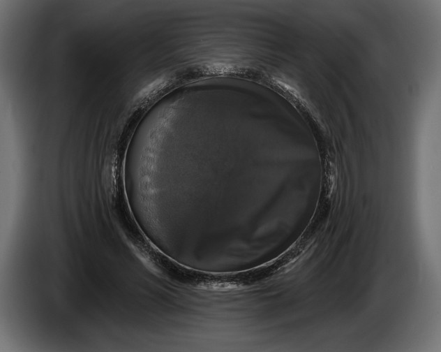 X0000086300590200704131611