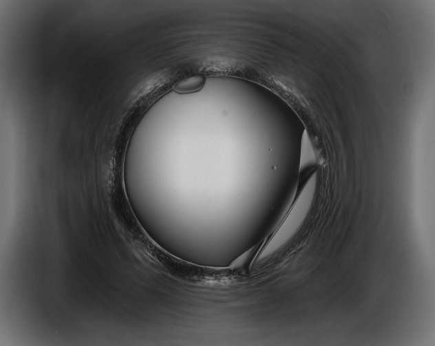 X0000086300591200704131611