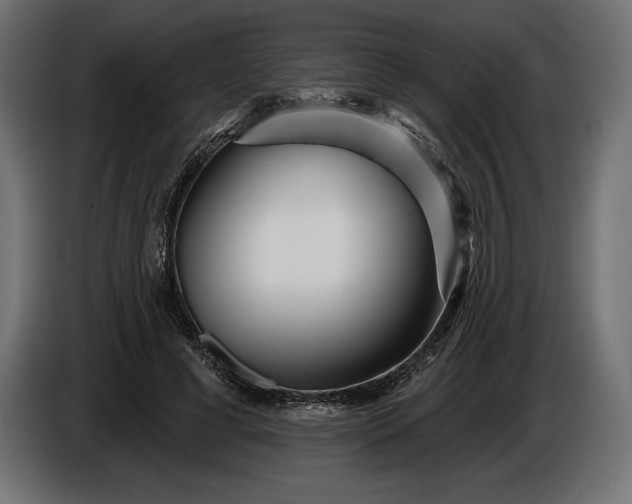 X0000086300593200704131611