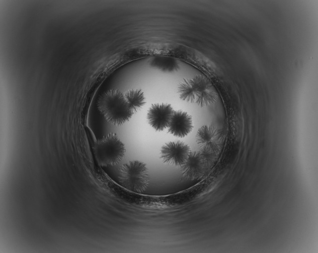 X0000086300594200704131611