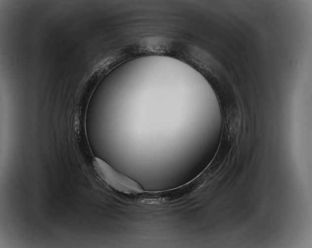 X0000086300595200704131611