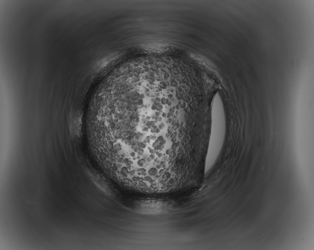 X0000086300596200704131611