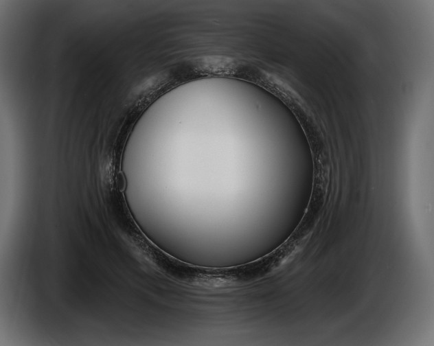 X0000086300597200704131611