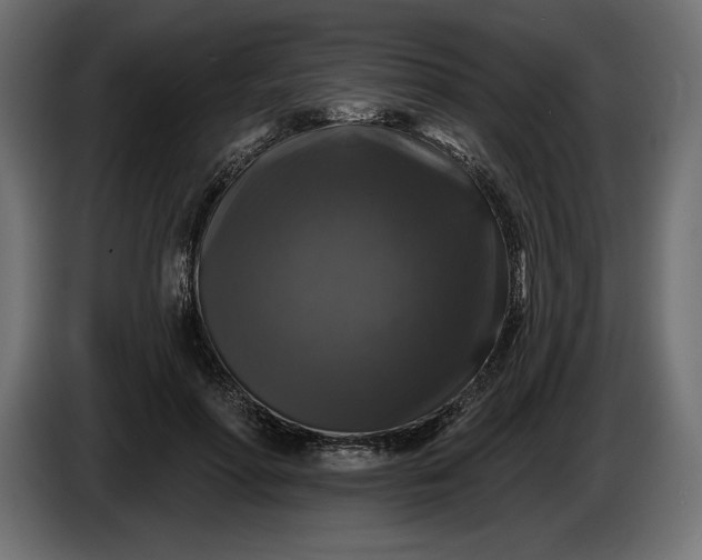 X0000086300598200704131611