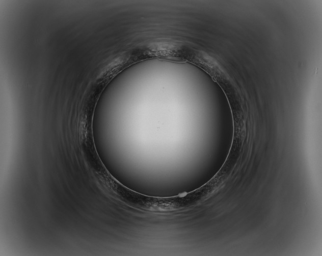 X0000086300599200704131611