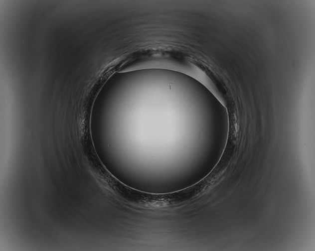 X0000086300600200704131611