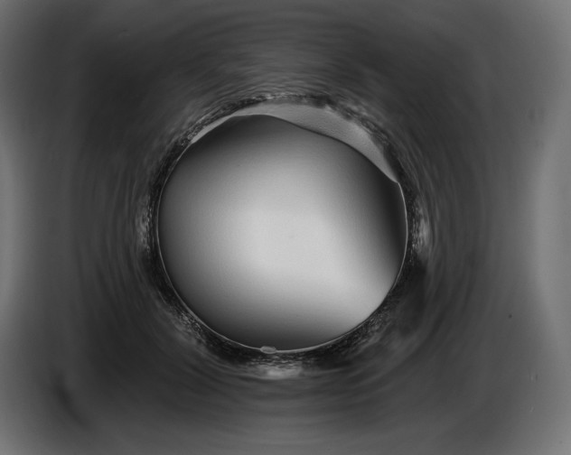 X0000086300604200704131611