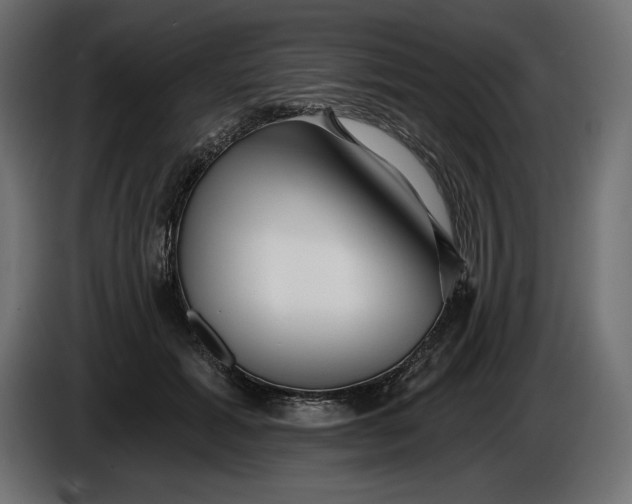 X0000086300605200704131611