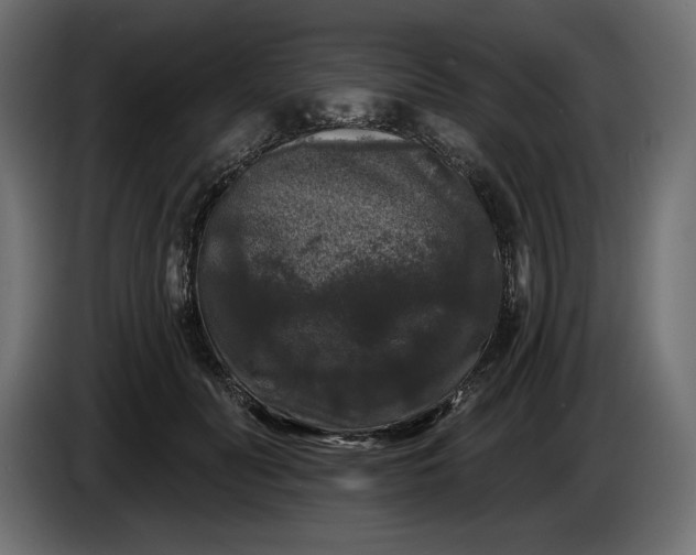 X0000086300606200704131611