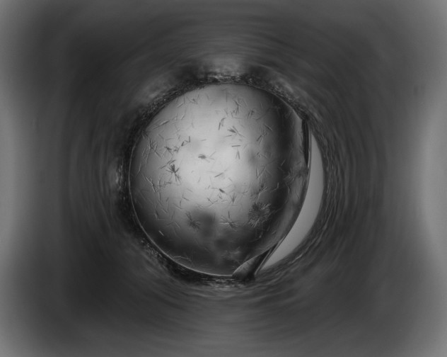 X0000086300608200704131611