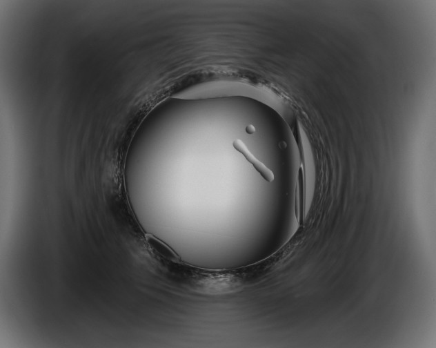 X0000086300609200704131611