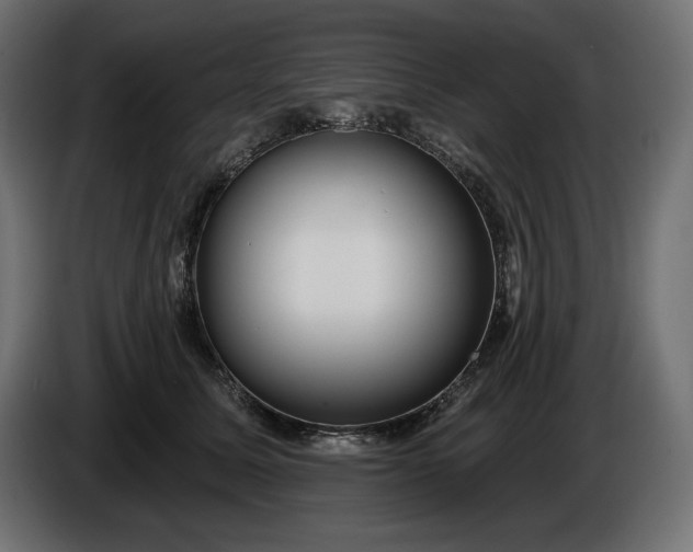 X0000086300611200704131611