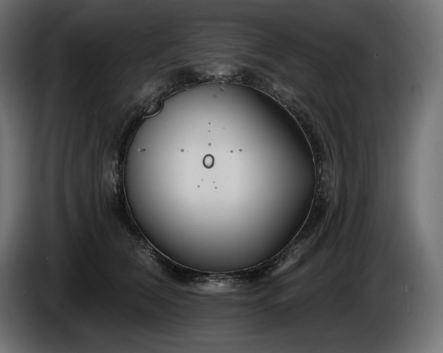 X0000086300612200704131611