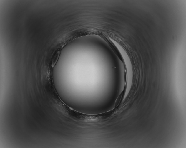 X0000086300613200704131611