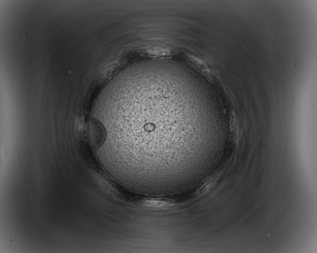 X0000086300614200704131611