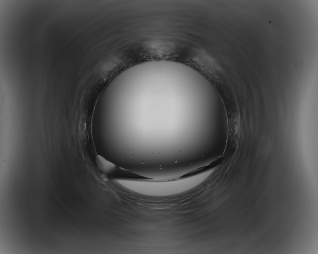 X0000086300615200704131611