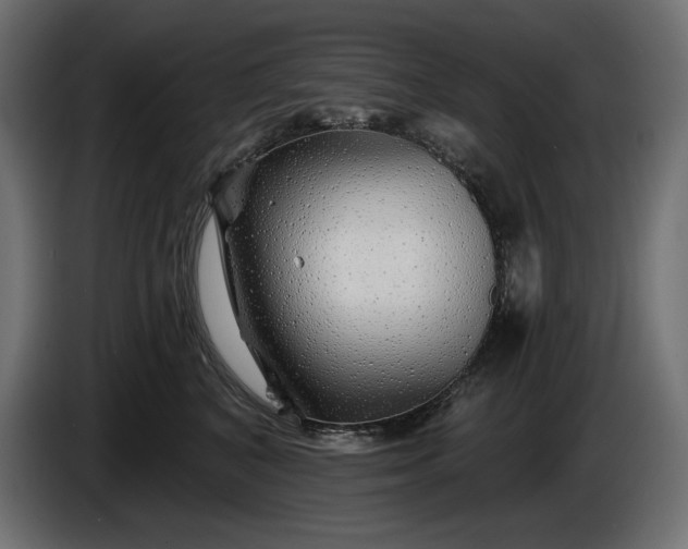 X0000086300616200704131611