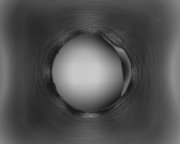 X0000086300617200704131611