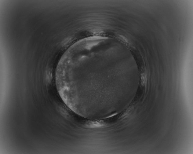 X0000086300618200704131611