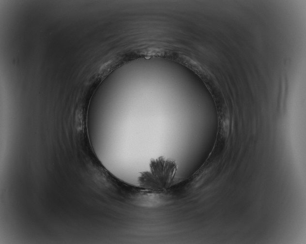 X0000086300620200704131611