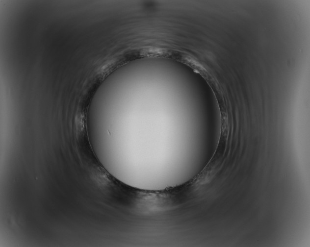 X0000086300621200704131611