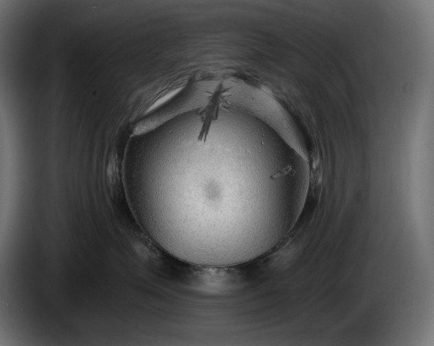 X0000086300623200704131611