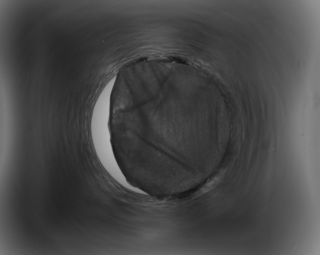 X0000086300624200704131611