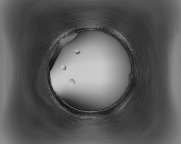 X0000086300625200704131610