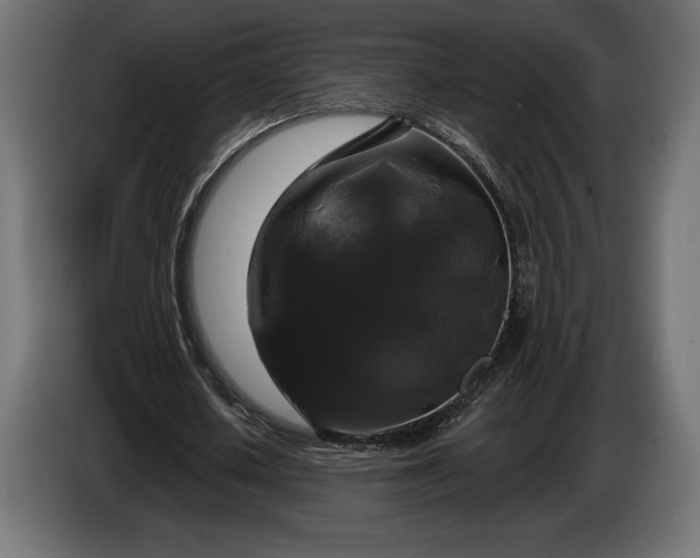 X0000086300626200704131610