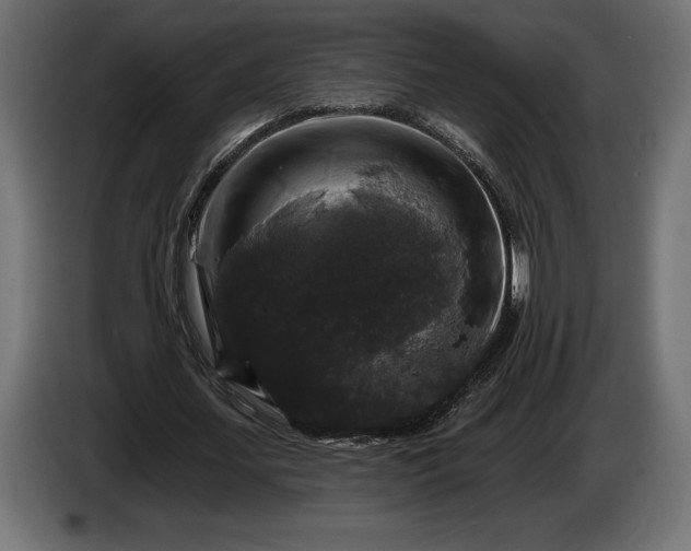 X0000086300627200704131610