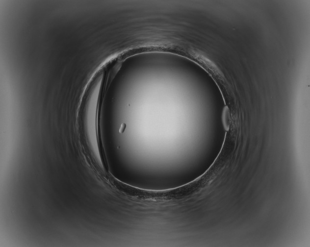 X0000086300628200704131610