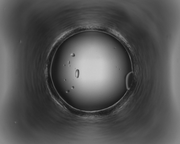 X0000086300629200704131610