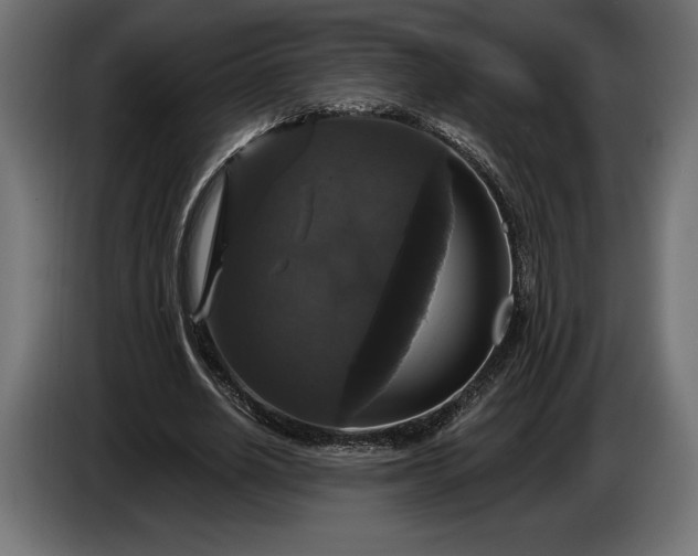 X0000086300630200704131610