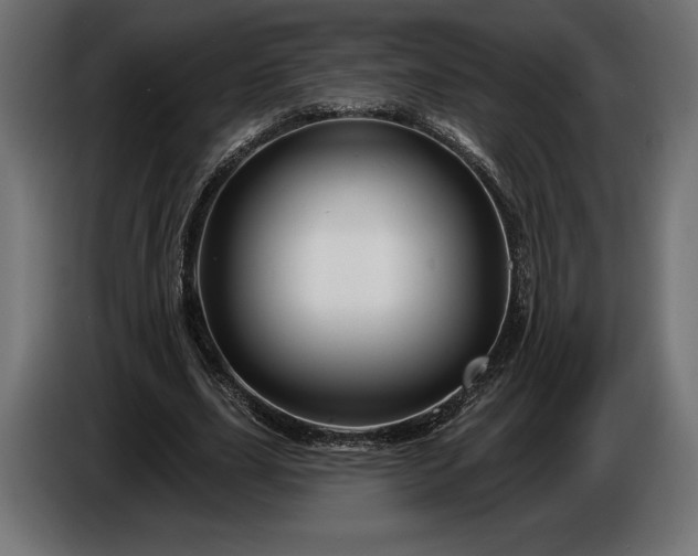 X0000086300631200704131610