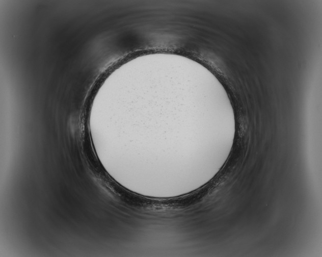 X0000086300632200704131610