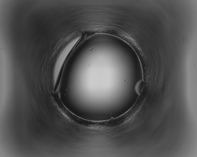 X0000086300633200704131610