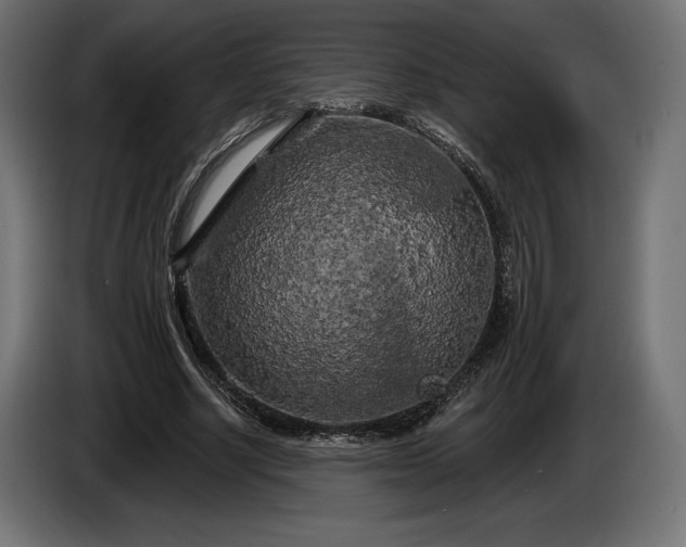 X0000086300634200704131610