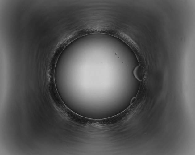 X0000086300635200704131610