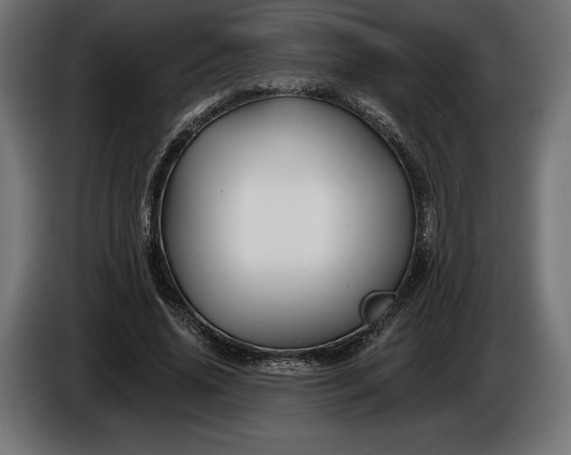 X0000086300636200704131610